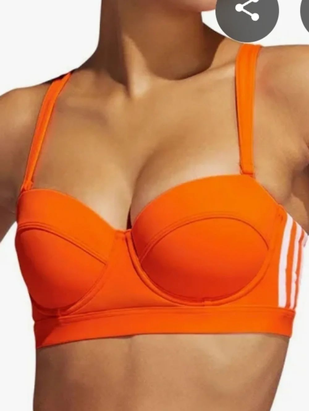 IVY PARK vibrant neon